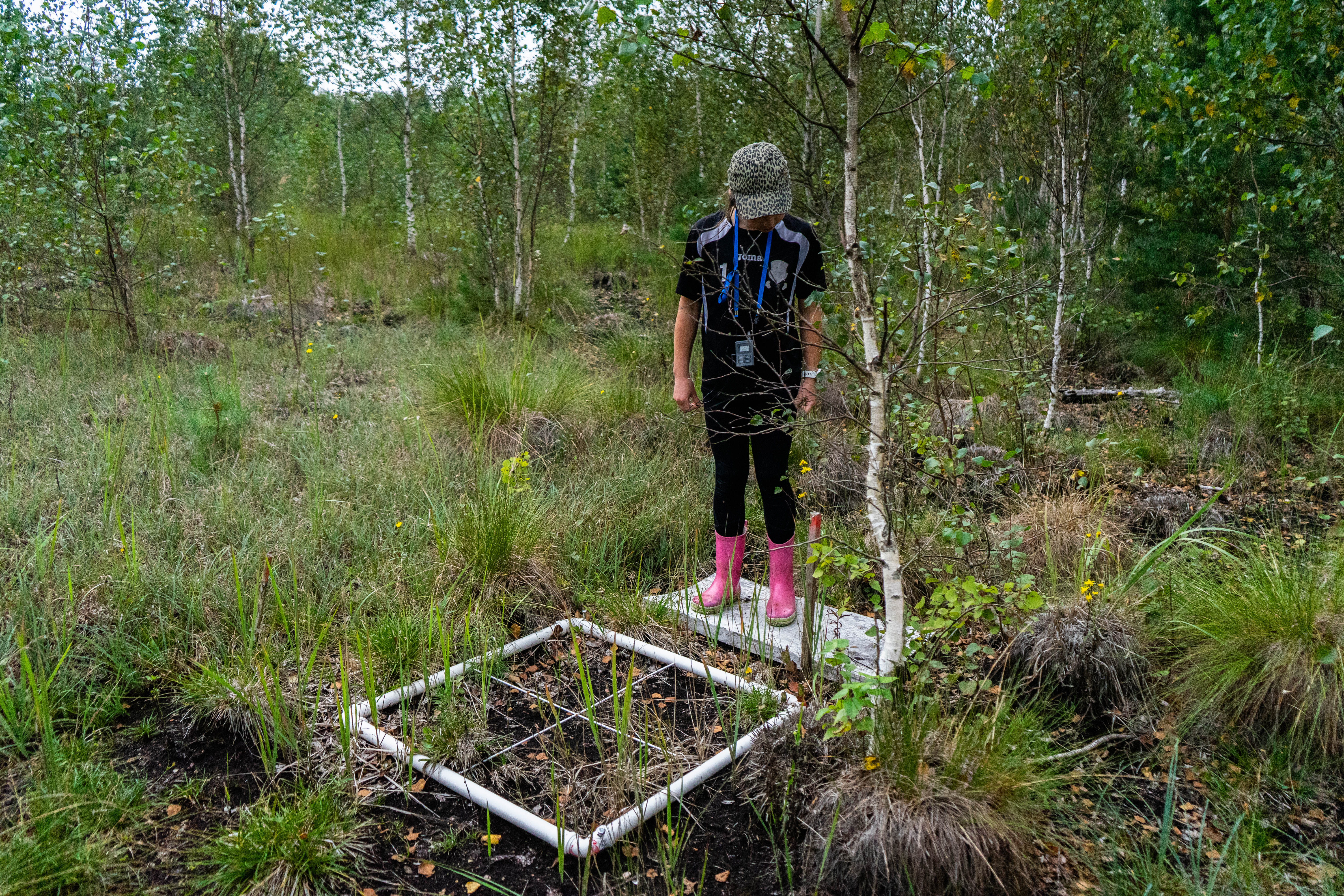 Kutse: Kõrsa harrastusteaduse raja avamine