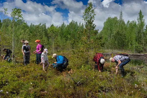 Kutse: jõhvikataimede istutustalgud Kõrsa soos 6. mail