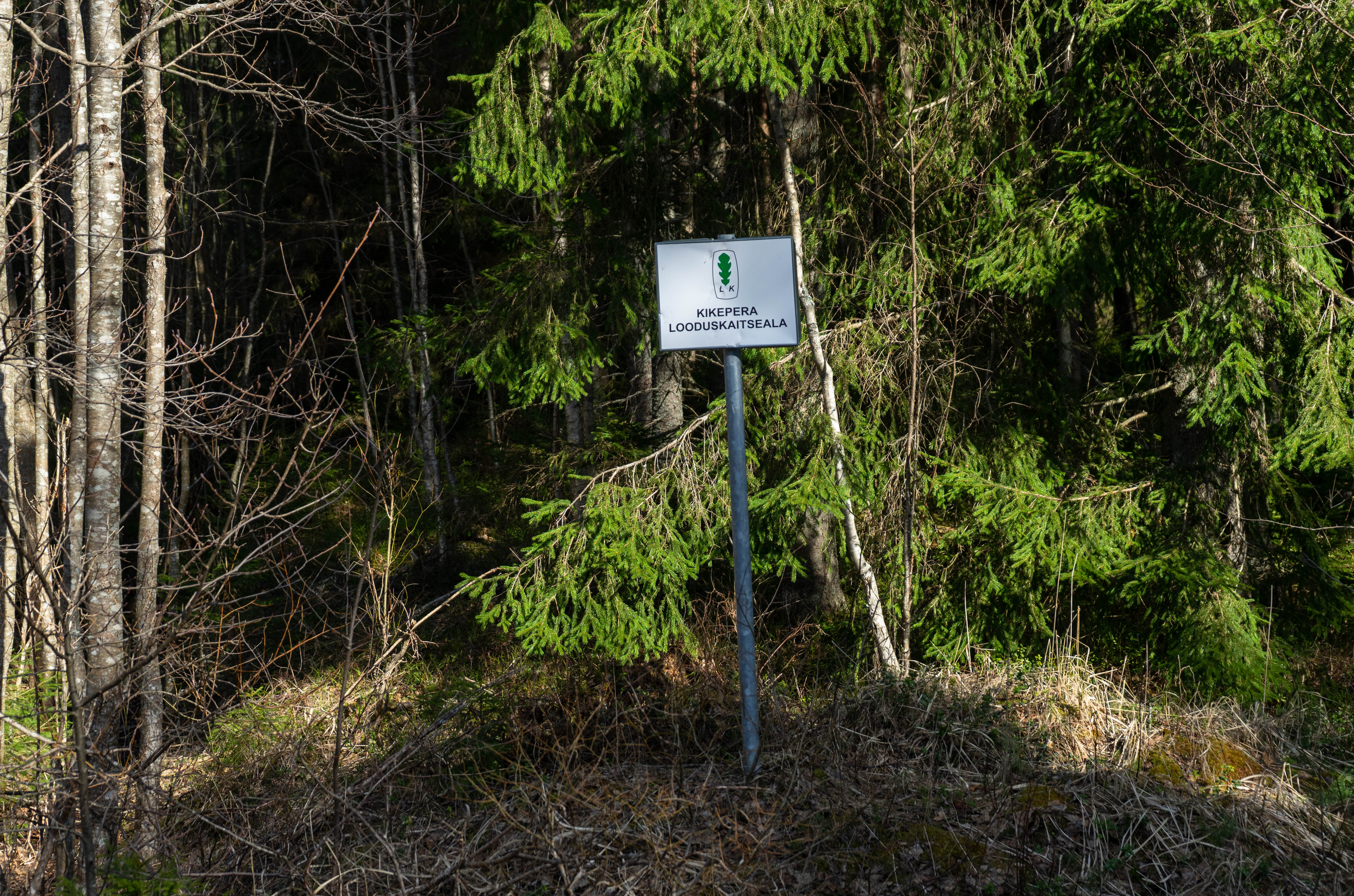 Kikepera looduskaitsealal algavad taastamistööd