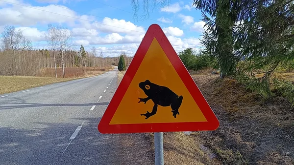 Konnaränne on haripunktis – sõidukijuhid peavad olema ettevaatlikud