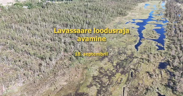 Kutse: Lavassaare loodusraja avamine
