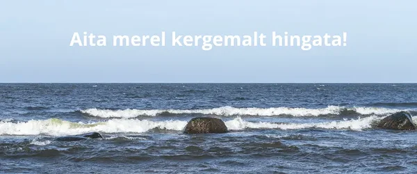ELF jätkab annetuste kogumisega Läänemere kaitseks