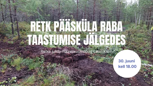 KUTSE retkele “Pääsküla raba taastumise jälgedes”