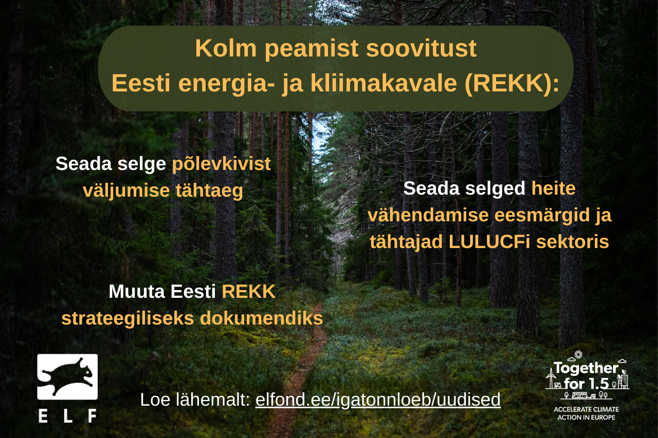 Raport: Eesti energia- ja kliimakava vajab julgemaid otsuseid