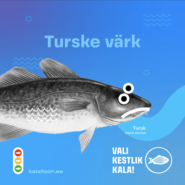 Läänemeres on mitmed kalapopulatsioonid ülikriitilises seisus