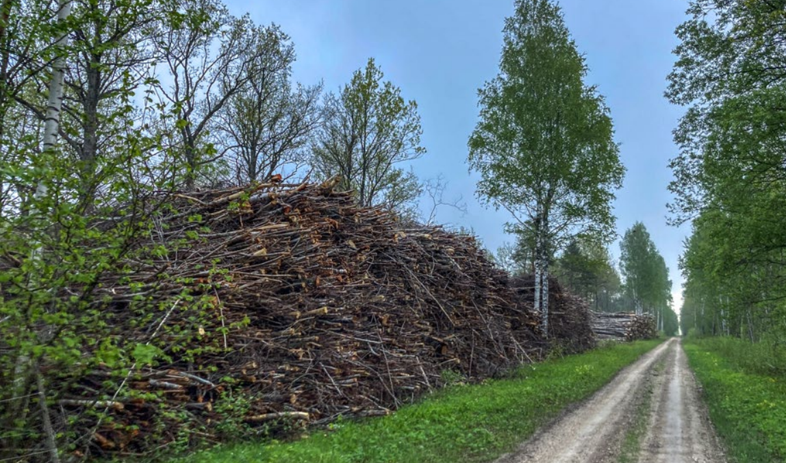 Taustapaber: Linnurahu ja kaitsealad ei tühjenda katlamajade ladusid