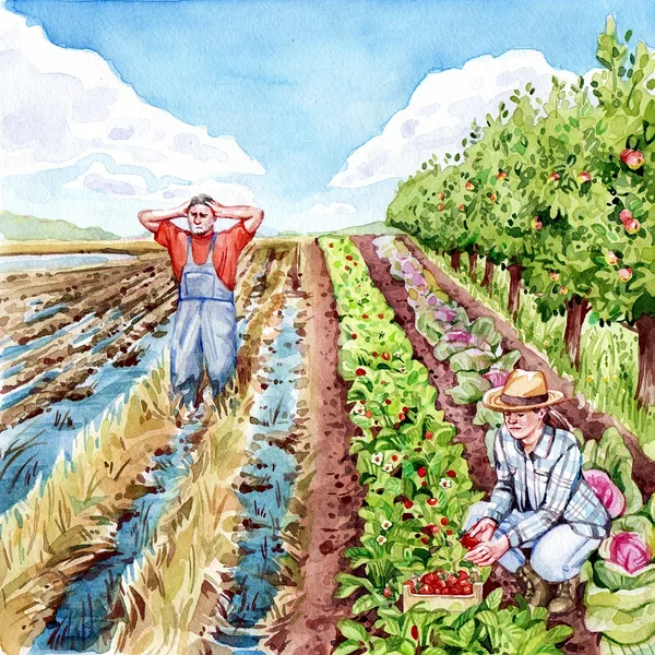 Illustratsioon: põllumajanduses aitab kliimamuutuse mõjudega  toime tulla mitmekesisus