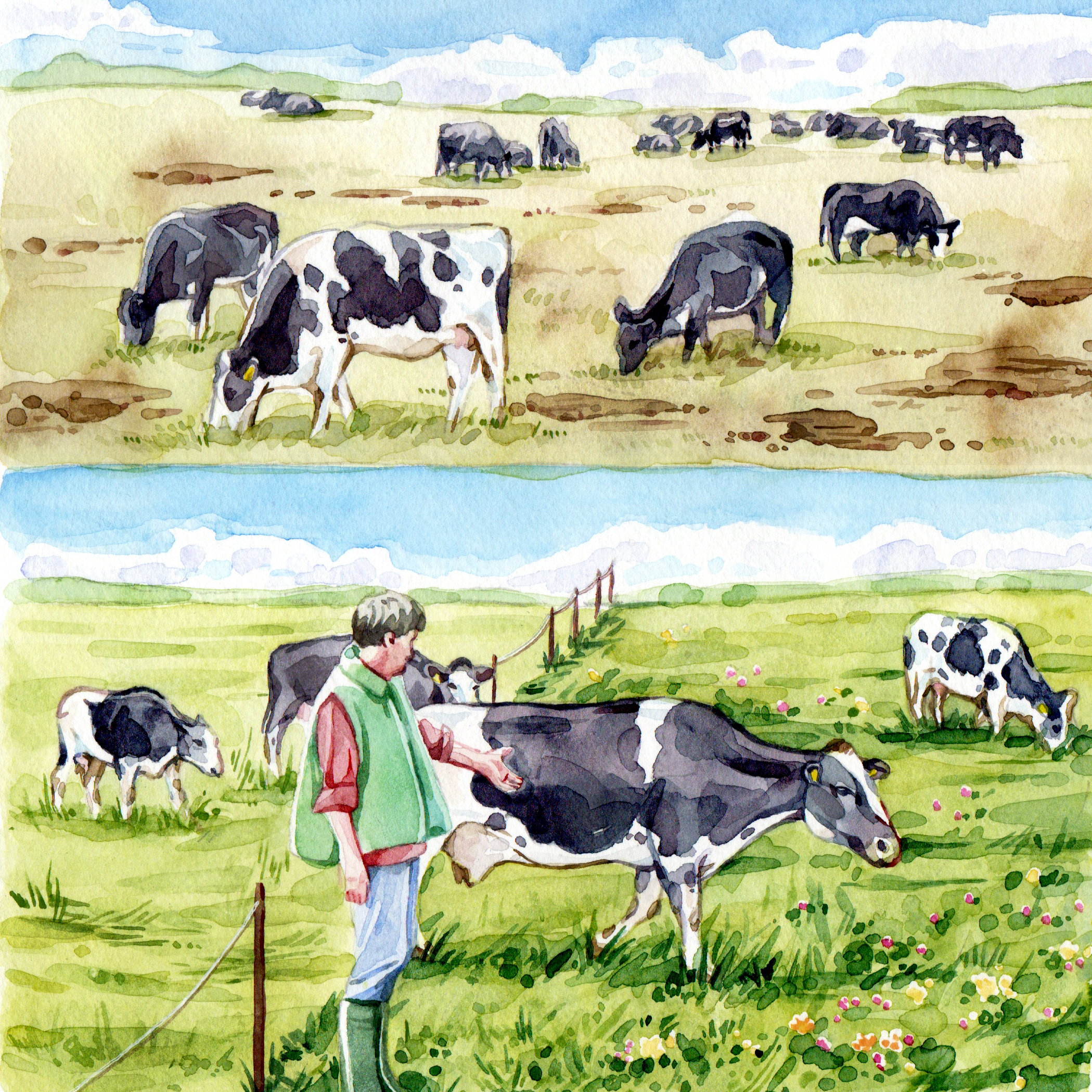 Illustratsioon: portsjonkarjatamine toetab elurikkust