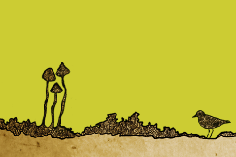 Keskkonnaühendused ja KÕK: Rail Balticu planeerimisel ühe trassi väljavalimine oleks ennatlik ja õigusvastane  